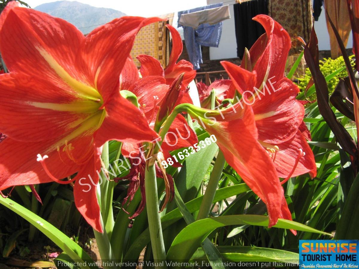 Sunrise Tourist Home Dharamshala Exterior photo
