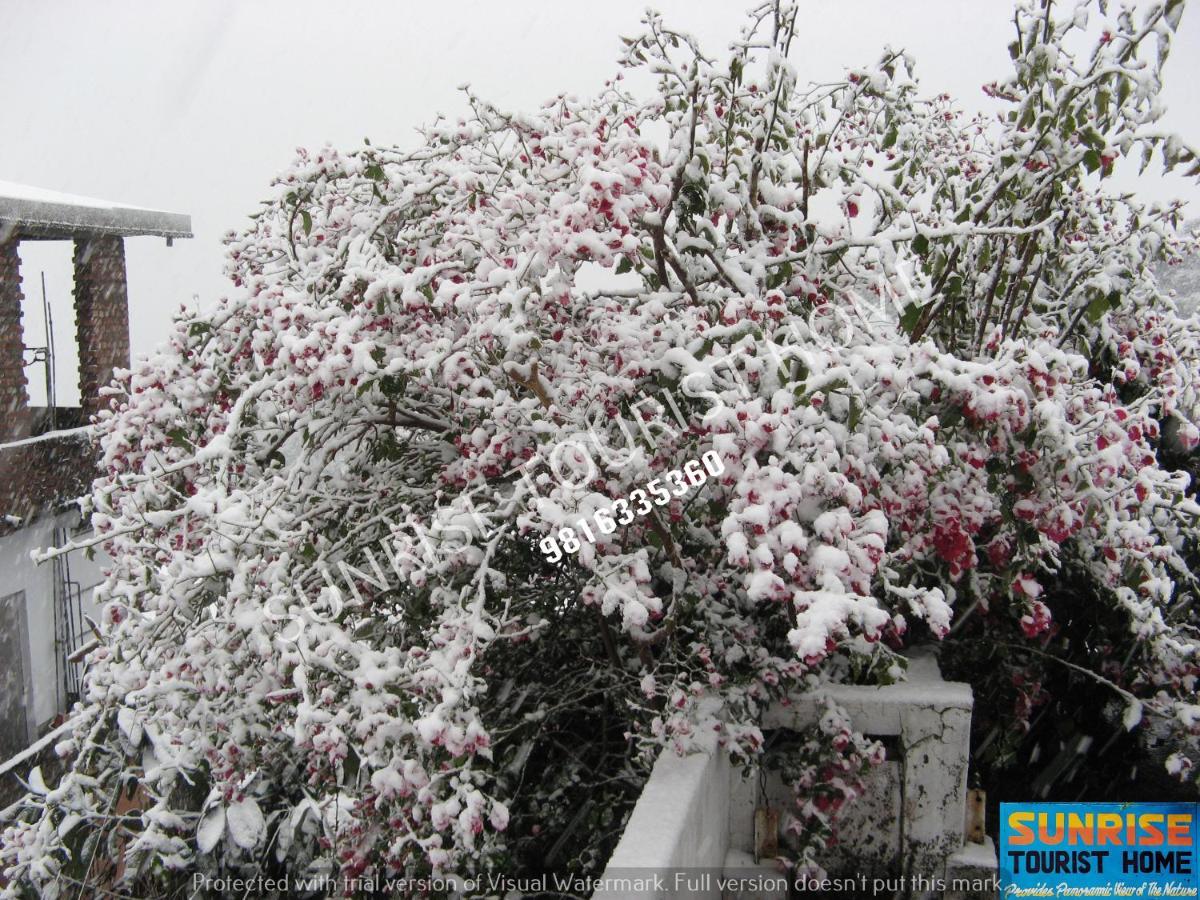 Sunrise Tourist Home Dharamshala Exterior photo